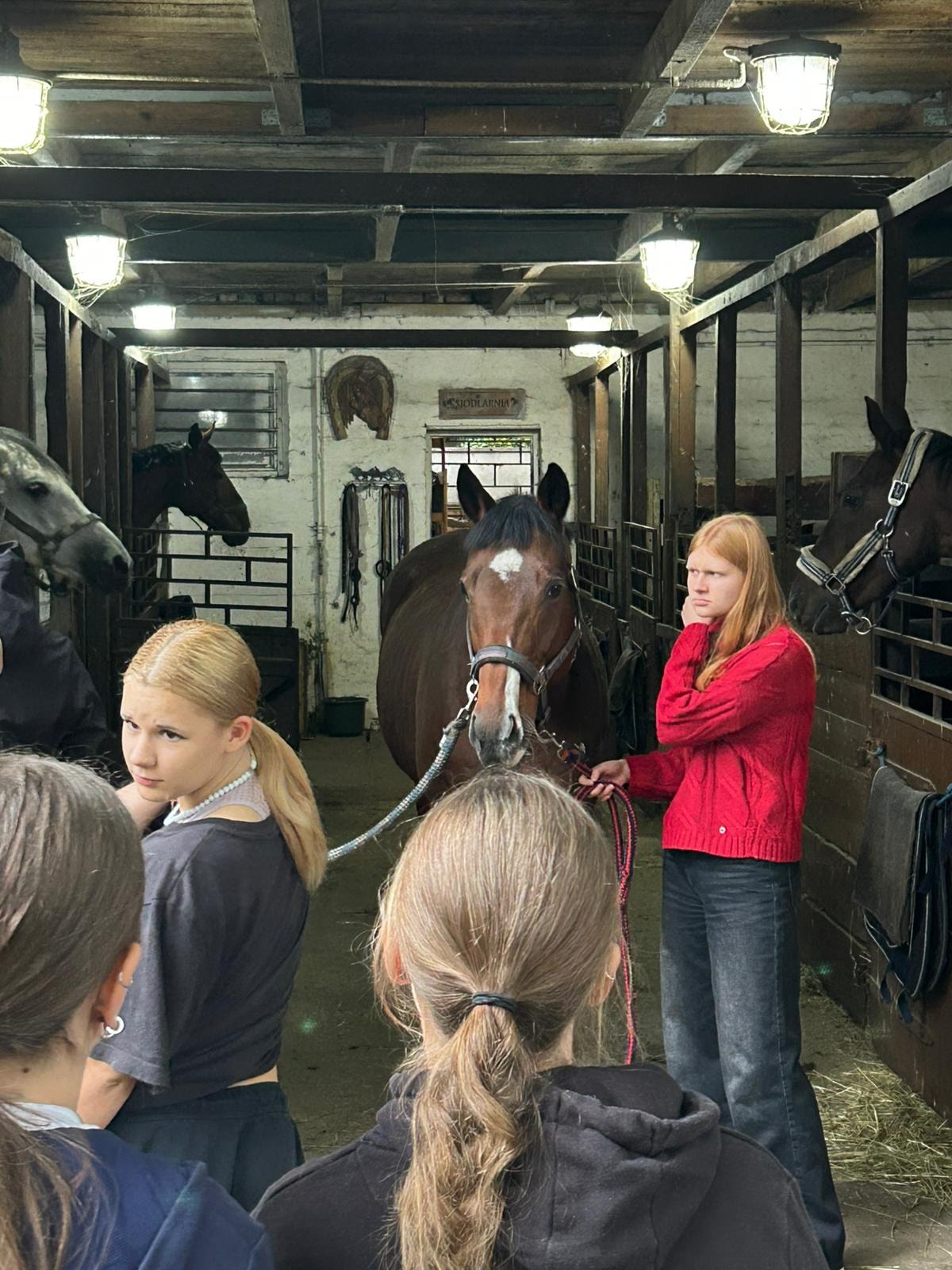 ZAJĘCIA POLICYJNE KONNE1