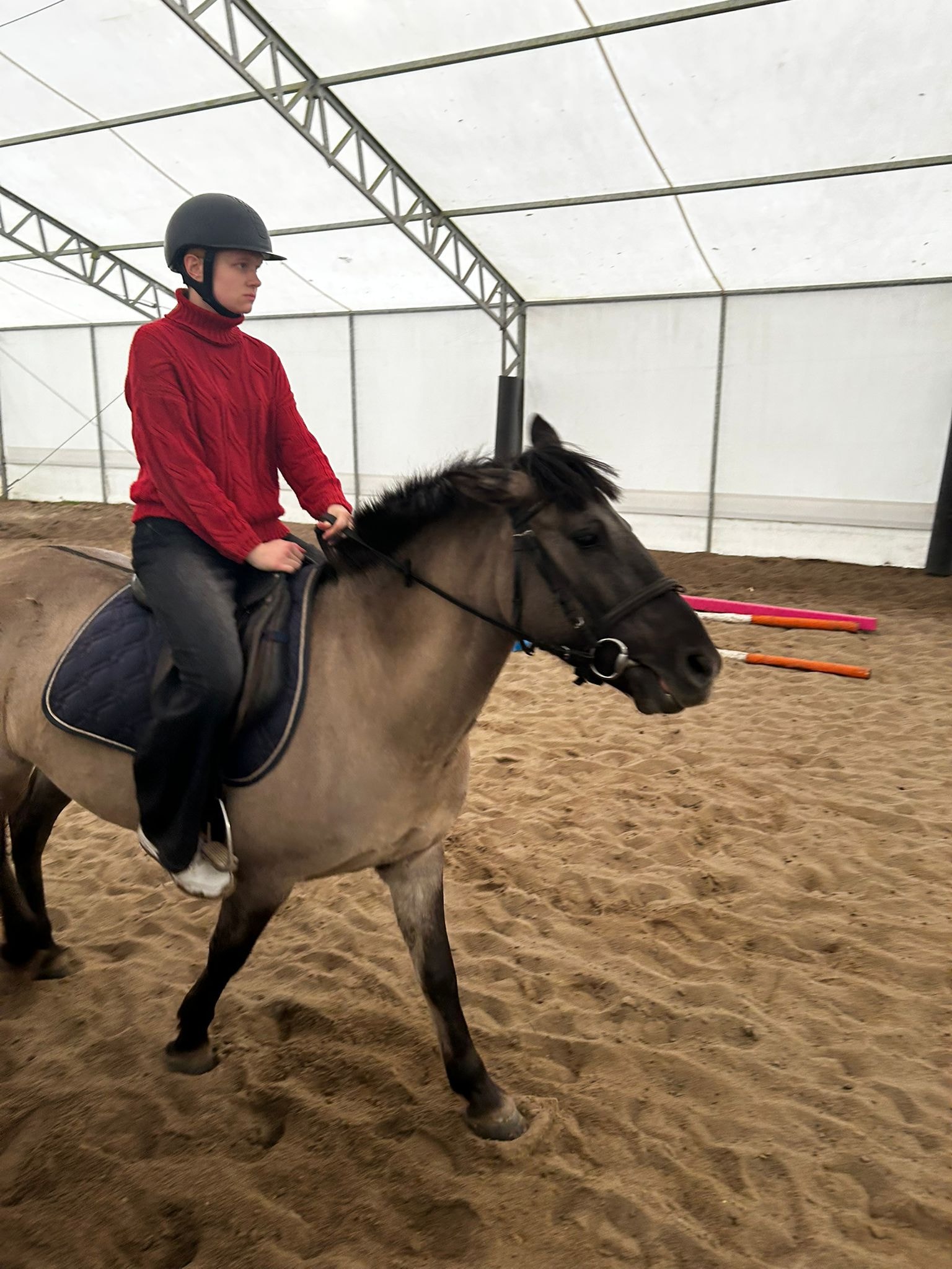 ZAJĘCIA POLICYJNE KONNE12
