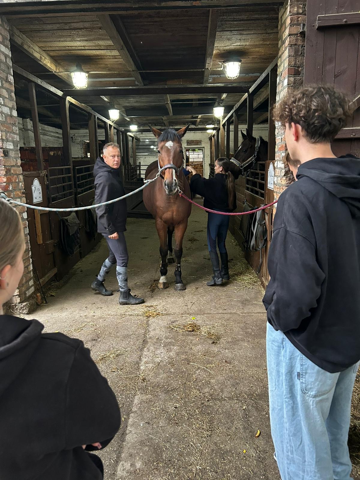 ZAJĘCIA POLICYJNE KONNE4