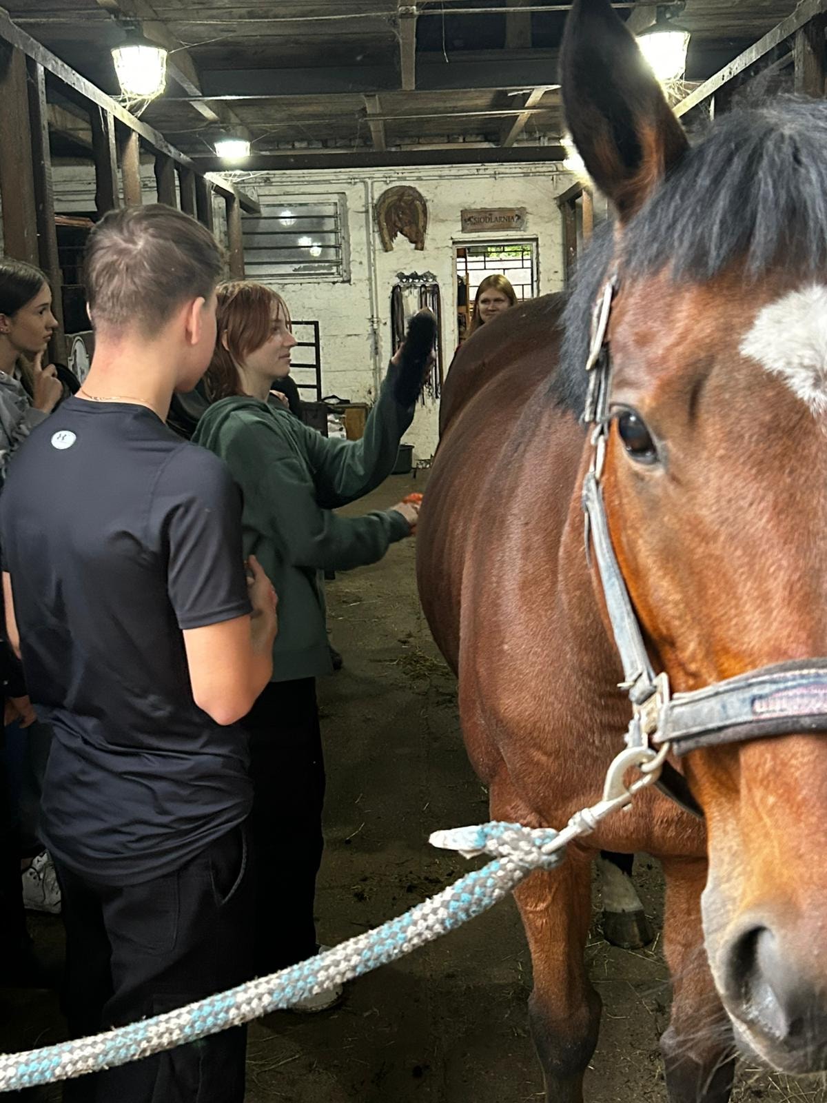 ZAJĘCIA POLICYJNE KONNE5