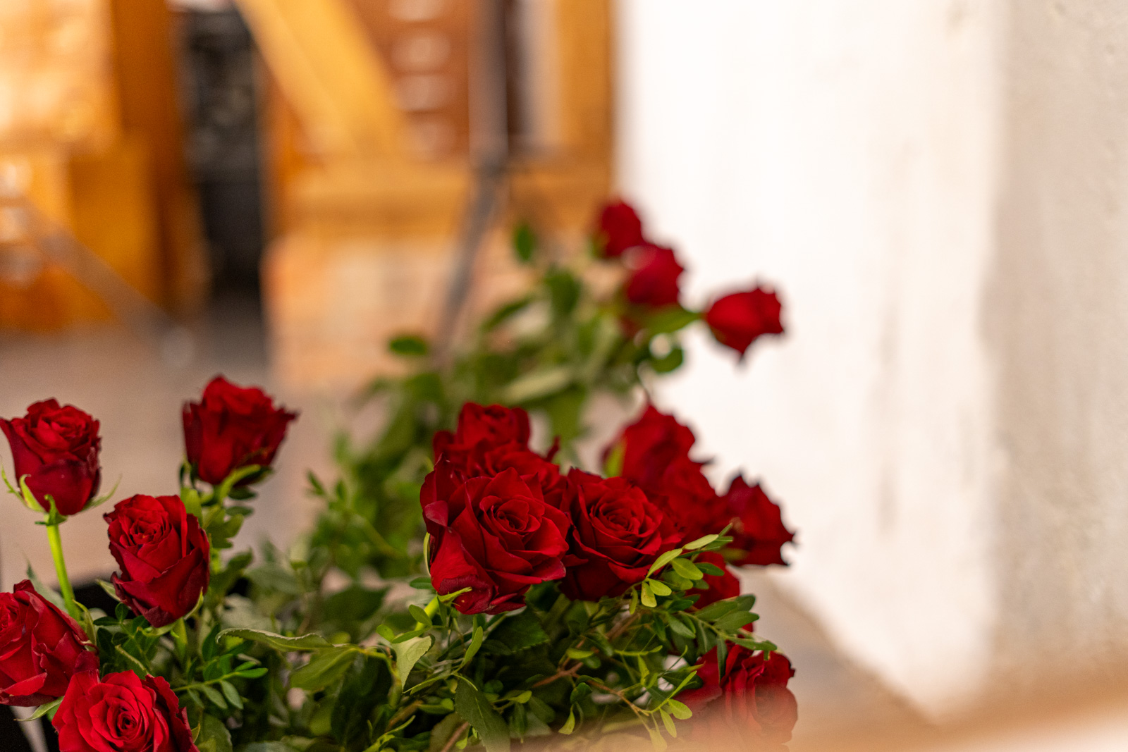 20260213_1808_DSC02313