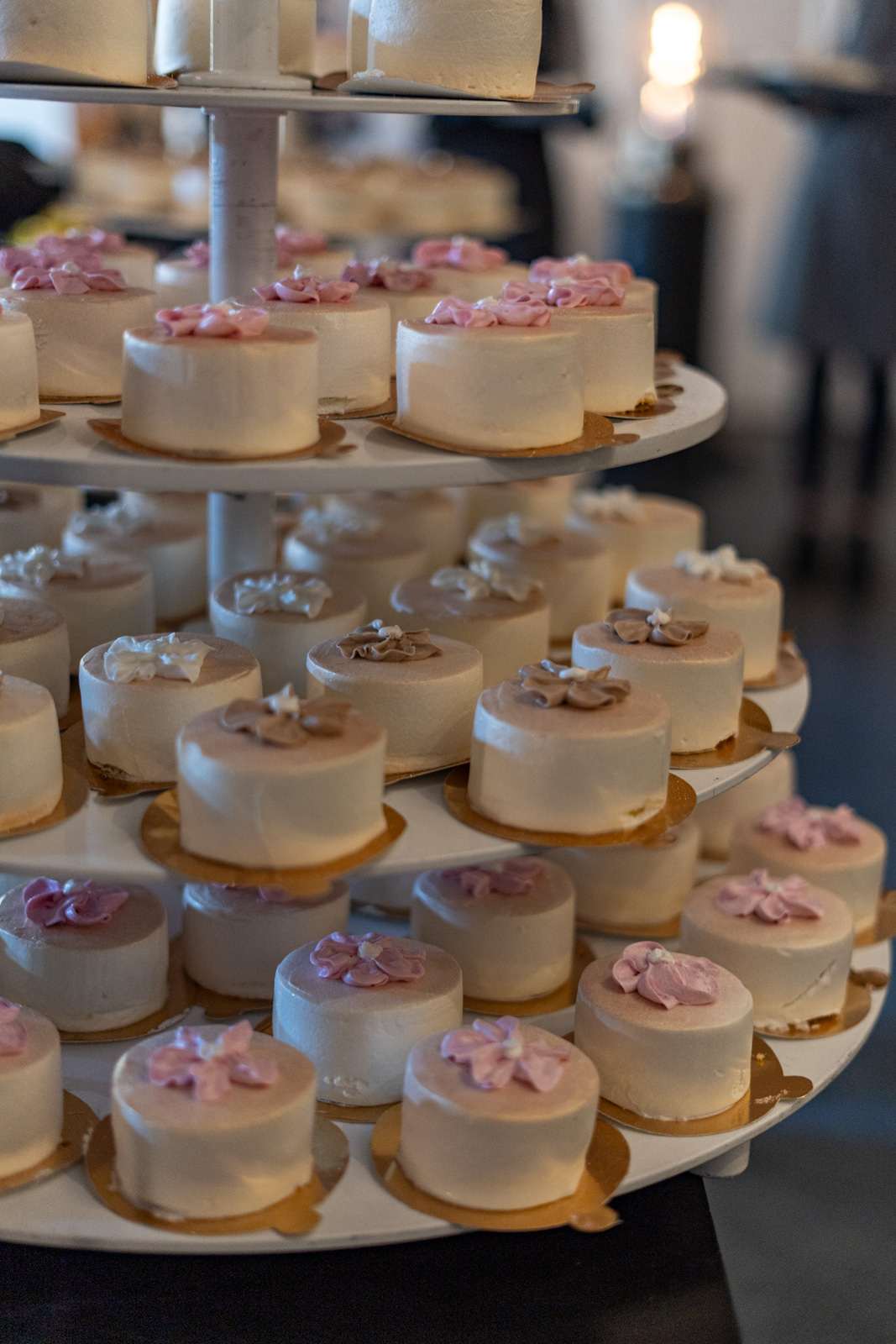 20260213_2111_DSC02880