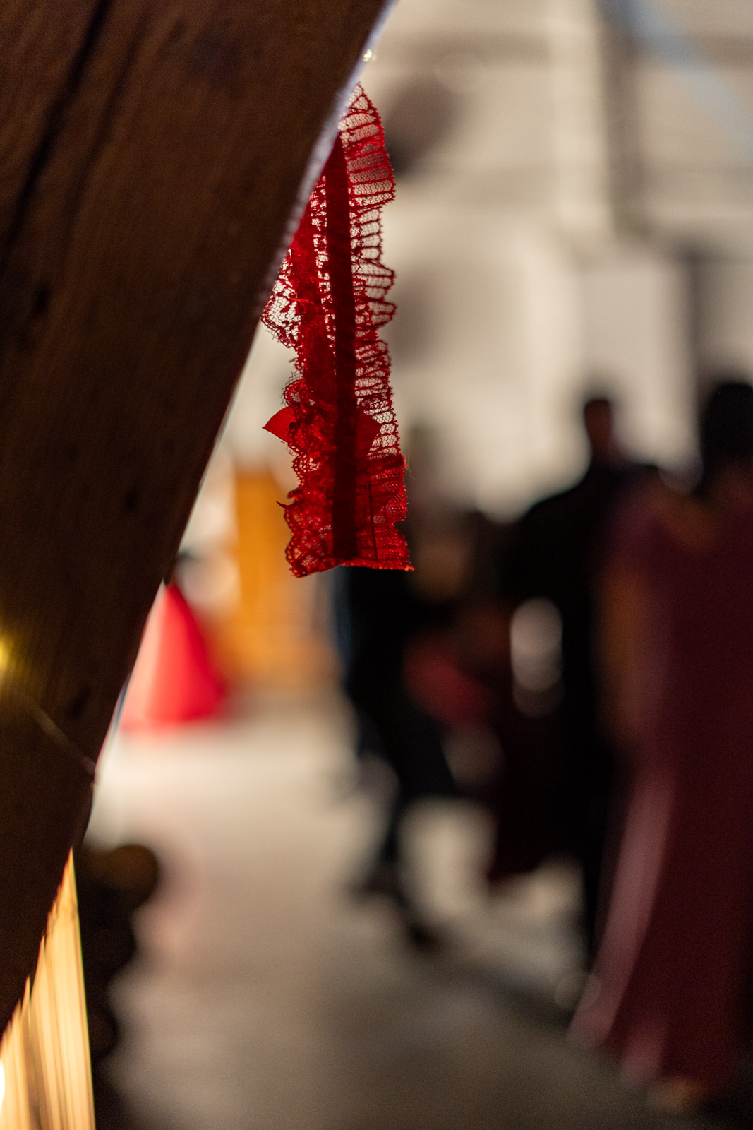 20260213_2336_DSC03314